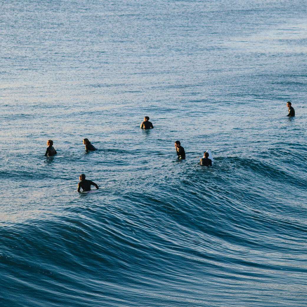 Basis Community & Courses Access: 3 Month Free Trial, $50/Month Thereafter (Cancel Anytime)